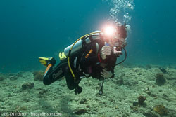 Divers